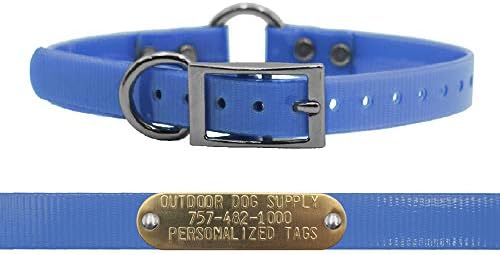 Lightweight Waterproof D & Center Ring Dog Collar w Name Tag, Light Blue