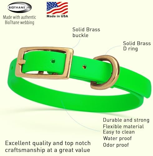 Viper Biothane Heavy Duty Waterproof Dog Collar Strong Coated Nylon Webbing w/Solid Brass Hardware Odor-Proof Easy to Clean High Performance Fits Small Medium or Large Dogs, Tropical Green