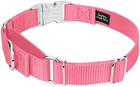 Country Brook Petz - Martingale Dog Collar - Heavy Duty Nylon Adjustable Martingale Dog Collar with Metal Buckle for Small Medium Large Breeds 30+ Color Options (1 Inch, Medium, Pink)