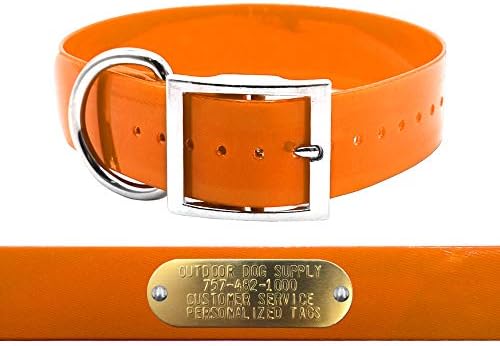 Heavy Duty D-Ring 1.5" Dog Collar w Custom Nametag, Orange
