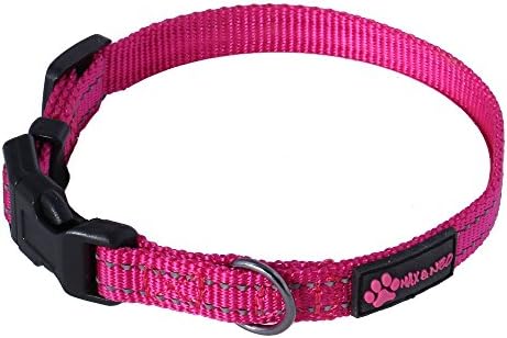 Max and Neo™ NEO Nylon Buckle Reflective Dog Collar - We Donate a Collar to a Dog Rescue for Every Collar Sold (X-Small, Pink)