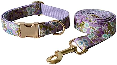 Custom Dog Collar with Names and Phone Number Engraved, Puppy Tags Personalized for Small Medium Large Pets