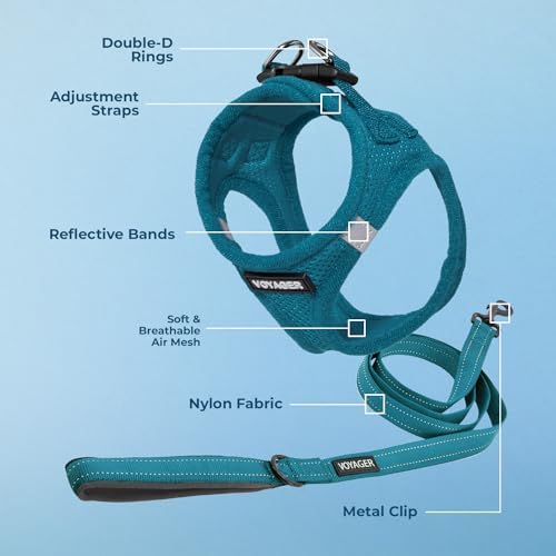 Best Pet Supplies Voyager Step-in Air All Weather Mesh Harness and Reflective Dog 5ft Leash Combo with Neoprene Handle, for Small, Medium and Large Breed Puppies - Turquoise, XX-Small