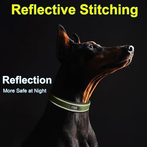 Fida Padded Dog Collar for Small Dogs with Metal Belt Buckle, Green
