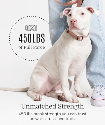 Fei & Eve Classic Dog Collar, Soft & Fur-Friendly