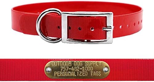 Heavy Duty Waterproof D-Ring Dog Collar w Personalized Name Tag, Red 18"