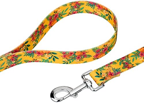 Country Brook Petz - Tropical Floral Everyday Dog Leash - Summer Breeze Collection Featuring Sunny Designs (6 Foot, 5/8 Inch Wide)