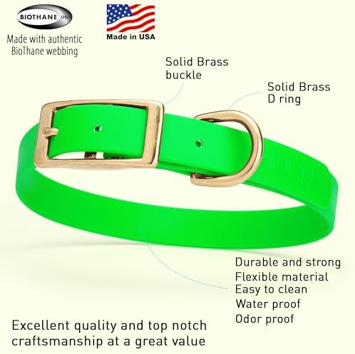 Viper Biothane Heavy Duty Waterproof Dog Collar Strong Coated Nylon Webbing w/Solid Brass Hardware Odor-Proof Easy to Clean High Performance Fits Small Medium or Large Dogs, Tropical Green
