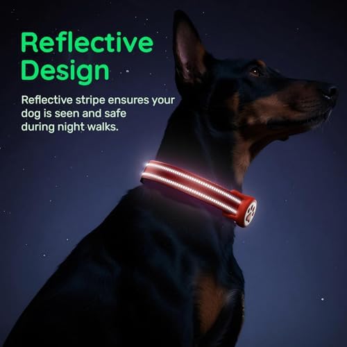 Premium Airtag Dog Collar，with IP68 Waterproof AirTag Holder,Red,XS