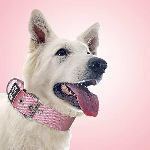 TSPRO Heavy Duty Thick Dog Collar with Metal Buckle for Large Dogs