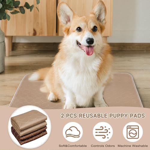 Paw Legend Washable Reusable Dog Pee Pads Super Absorbent (2 Pack) - Washable Reusable Puppy Training Pads | Quality Travel Pee Pads for Dogs | Absorbent and Odor Controlling