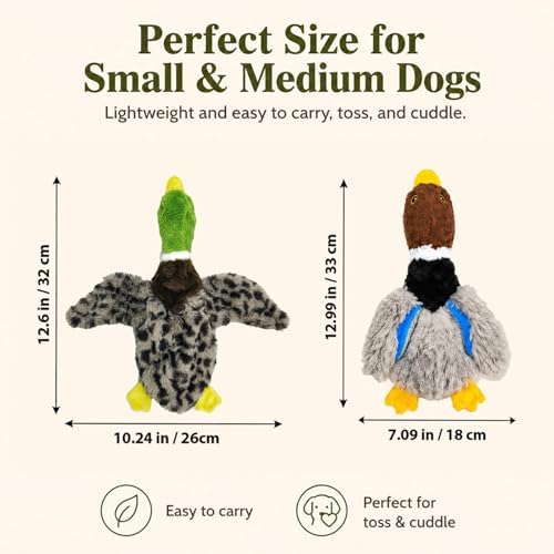 Stuffing-Free Duck Dog Toys, 2 Pack Plush Squeaky Toys with 6 Total Squeakers for Small Medium Dogs, Hollow Body Toys for Interactive Play
