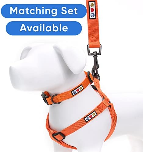 Pawtitas Personalized 6 ft Orange Dog Leash M/L Custom Name and Phone Embroidery Strong Nylon Leash for Medium and Large Breeds