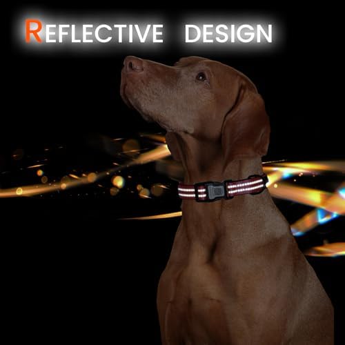 Personalized Dog Collar with QR Code Dog Tag, Rose Red M