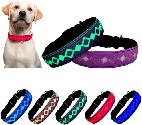 Personalized Flashing Dog Collar with Laser Engraved ID Tag