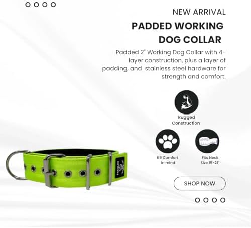 SparkDog 2" Padded Working Dog Collar (Lime Green, 2" Padded (16-21" Neck)