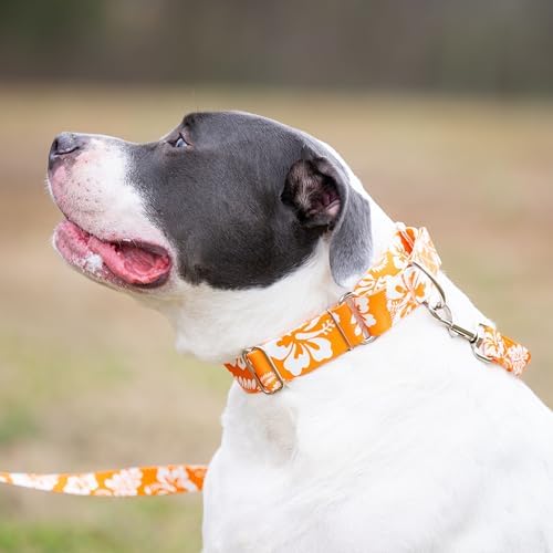 Country Brook Petz - Orange Hawaiian Everyday Dog Leash - Summer Breeze Collection Featuring Sunny Designs (4 Foot, 1/2 Inch Wide)