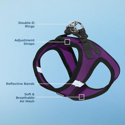 Voyager Step-in Air Dog Vest Harness - Purple/Black Trim, Small