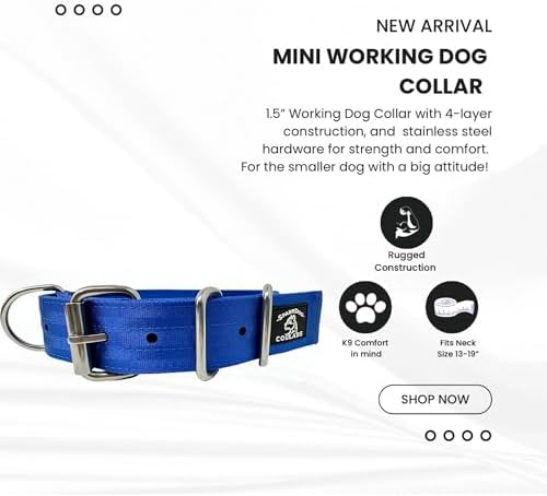 SparkDog 1.5” Working Dog Collar Heavy Duty Fits 13-19” Necks (Blue, 1.5")