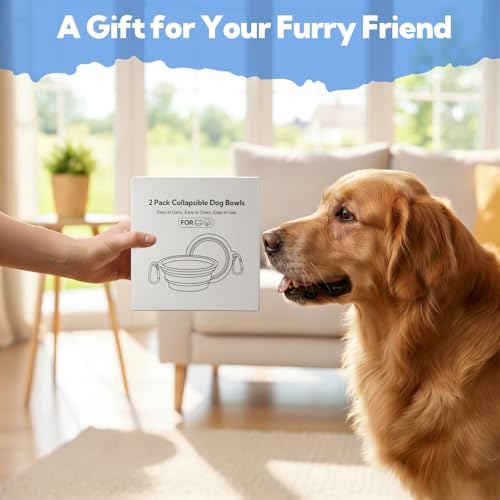 Collapsible Dog Bowl Large 34oz, Travel Dog Water Bowl Portable