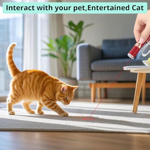TBTeek Cat Toys, with Metal Case, 2 Pieces, Rechargeable (Red