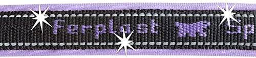 WENKO Dog Collar, Purple, One Size