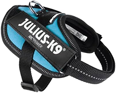 Julius-K9, 16IDC-AM-B2, IDC Powerharness, Dog Harness, Size: Baby 2, Aquamarine