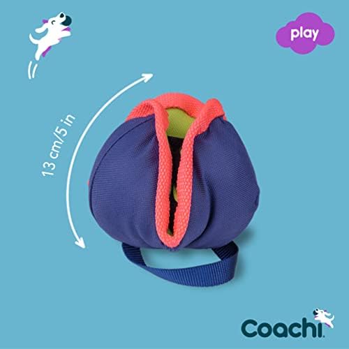 Company of Animals Coachi Chase & Treat - A Fun Enrichment Dog Toy