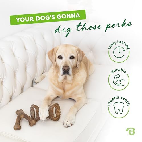 Benebone 2-Pack Wishbone/Dental Durable Dog Chew Toys, Real Bacon, Large