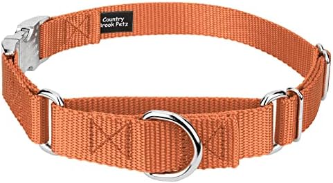 Country Brook Petz - Martingale Dog Collar - Heavy Duty Nylon Adjustable Martingale Dog Collar with Metal Buckle for Small Medium Large Breeds - 30+ Color Options (3/4 Inch, Small, Coral)