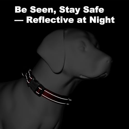 Personalized Dog Collars, Custom Laser Engraved Name & Phone Number