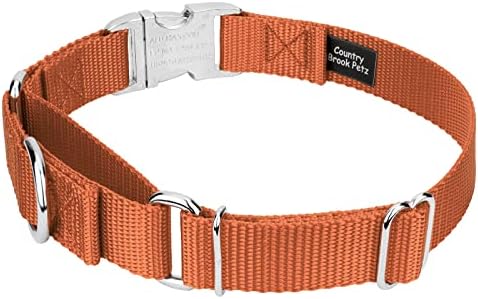 Country Brook Petz - Martingale Dog Collar - Heavy Duty Nylon Adjustable Martingale Dog Collar with Metal Buckle for Small Medium Large Breeds 30+ Color Options (1 Inch, Extra Large, Coral)