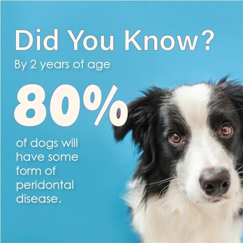 Advanced Enzymatic Toothpaste for Dogs, Peanut Butter Flavor Dog Toothpaste, Helps Clean Teeth & Freshen Breath, Supports Oral Hygiene, Dog Dental Care Toothpaste Gel, 3 oz