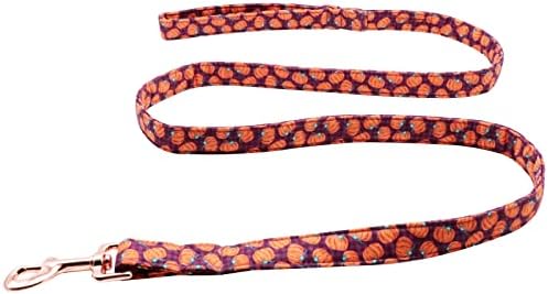 Lionet Paws Dog Leash,Handmade Dog Training Leash Pet Supply