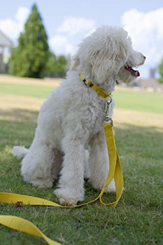 Martingale Dog Collar - Heavy Duty Nylon Adjustable Martingale Dog Collar with Plastic Buckle for Small Medium Large Breeds - 30+ Colors (1 Inch, Extra Large, Gold)