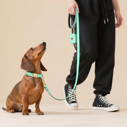 Didog Soft Padded Dog Collar for Small Dogs, Teal, S Neck 10-15"