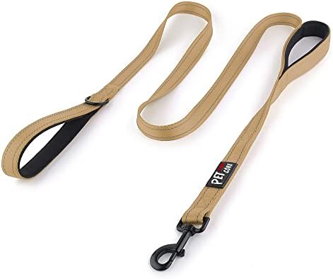 Plutus Pet Double Handle Dog Leash, 4 FT Long, for Medium Large Dogs