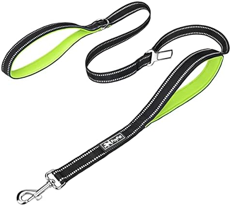 PoyPet 5 Feet Dog Leash with 2 Cushioned Handles (Green)