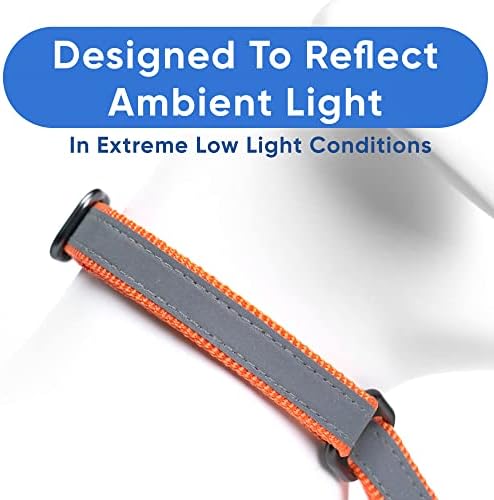 Pawtitas Personalized Dog Collar Martingale Dog Collar with Name Phone Number Reflective Martingale Dog Collar Customized Collar for Large Dogs | Orange Custom Dog Collars for Large Dogs