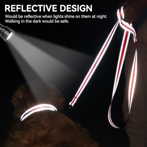 Joytale Reflective Dog Leash for Small Dogs, 6 FT x 3/4", Red