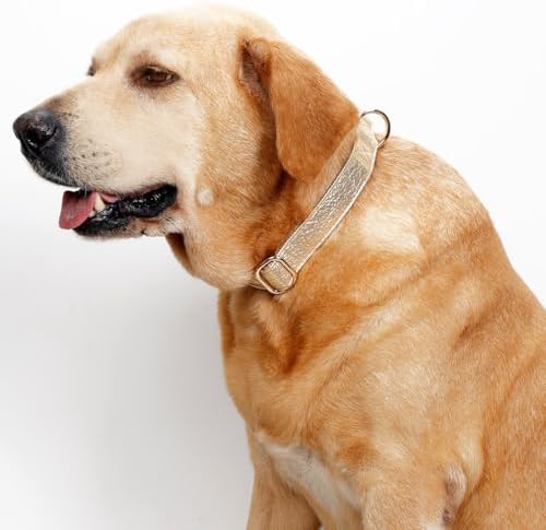 Glare Gold Personalized Dog Collars Leather and Nylon Thicken Design