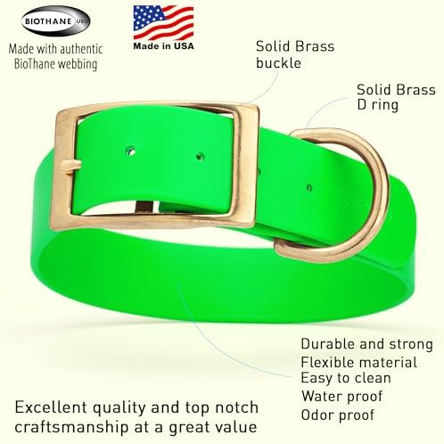 Viper Biothane Heavy Duty Waterproof Dog Collar Strong Coated Nylon Webbing w/Solid Brass Hardware Odor-Proof Easy to Clean High Performance Fits Small Medium or Large Dogs, Tropical Green