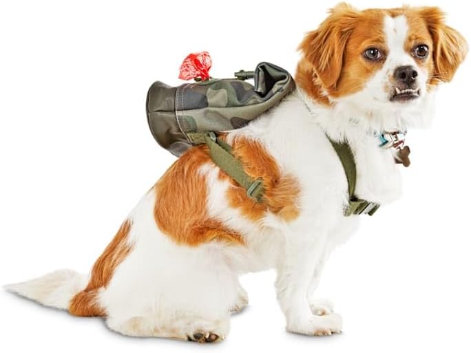 Reddy Camo Canvas Dog Backpack, Small/Medium
