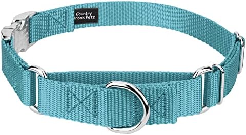 Country Brook Petz - Martingale Dog Collar - Heavy Duty Nylon Adjustable Martingale Dog Collar with Metal Buckle for Small Medium Large Breeds - 30+ Color Options (5/8 Inch, Extra Small, Ocean Blue)