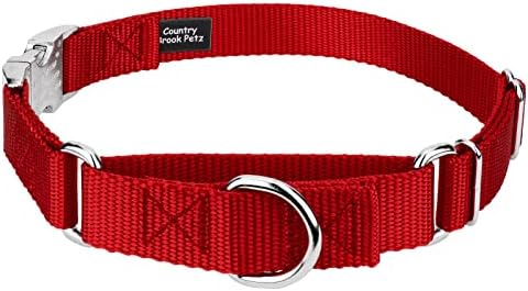 Country Brook Petz - Martingale Dog Collar - Heavy Duty Nylon Adjustable Martingale Dog Collar with Metal Buckle for Small Medium Large Breeds - 30+ Color Options (5/8 Inch, Extra Small, Red)