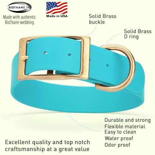 Viper Biothane Heavy Duty Waterproof Dog Collar Strong Coated Nylon Webbing w/Solid Brass Hardware Odor-Proof Easy to Clean High Performance Fits Small Medium or Large Dogs, Sky Blue