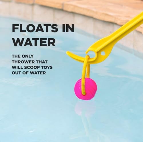 PROJECT HIVE ·PET COMPANY· Looped Ball 2 Pack-SM-Pink/Blue