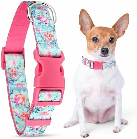 Parisian Pet Floral Dog Collar - Adjustable Spring Blossoms Girl Pet Collar with Secure Buckle and Metal D-Ring - Comfortable Designer Puppy Collars - Durable Nylon Dog Collars for Small Dogs