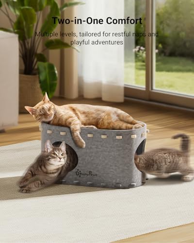 DownyPaws Cat House for Indoor Cats,Peekaboo Cat Bed Cave, Light Gray
