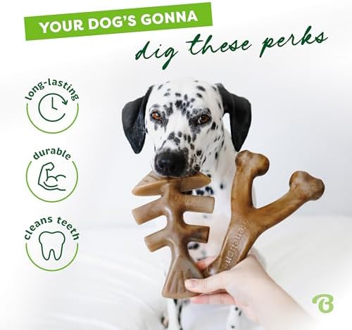 Benebone 2-pack Fishbone/Wishbone Durable Dog Chew Toys, Dog Bones, Large